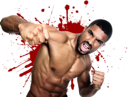 sport & mixed martial arts free transparent png image.