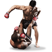 sport & mixed martial arts free transparent png image.