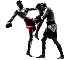 sport & mixed martial arts free transparent png image.