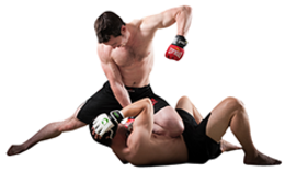 sport & Mixed martial arts free transparent png image.