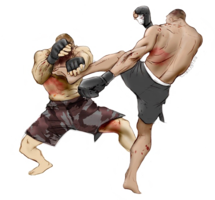 sport & Mixed martial arts free transparent png image.