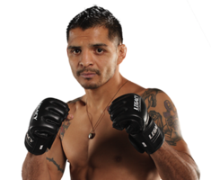 sport & mixed martial arts free transparent png image.