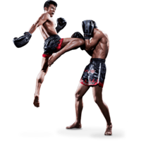 sport & Mixed martial arts free transparent png image.