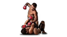 sport & mixed martial arts free transparent png image.