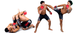 sport & Mixed martial arts free transparent png image.