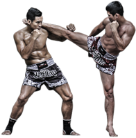 sport & Mixed martial arts free transparent png image.