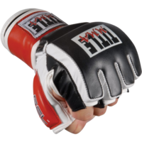 sport & mixed martial arts free transparent png image.