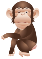 animals & monkey free transparent png image.