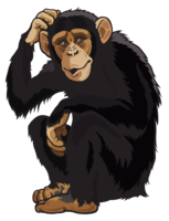 animals & Monkey free transparent png image.