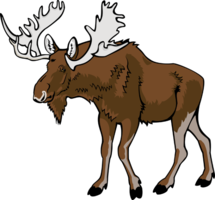 animals & moose elk free transparent png image.