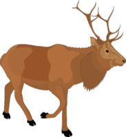 animals & moose elk free transparent png image.