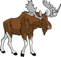 animals & moose elk free transparent png image.