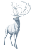 animals & moose elk free transparent png image.