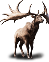 animals & moose elk free transparent png image.