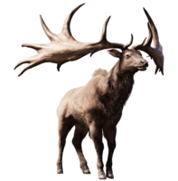 animals & moose elk free transparent png image.