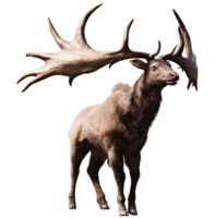 animals & Moose elk free transparent png image.