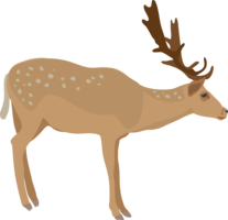 animals & Moose elk free transparent png image.