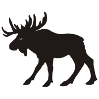 animals & Moose elk free transparent png image.