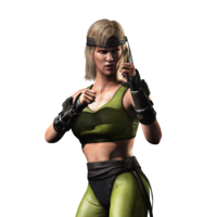 games & Mortal Kombat free transparent png image.