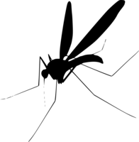 insects & Mosquito free transparent png image.