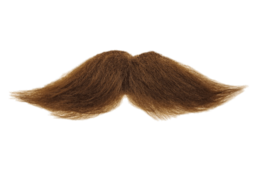 people & Moustache free transparent png image.