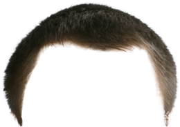 people & Moustache free transparent png image.