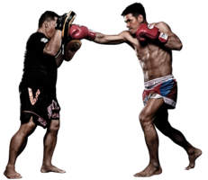 sport & muay thai free transparent png image.