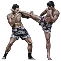 sport & muay thai free transparent png image.