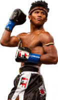 sport & muay thai free transparent png image.