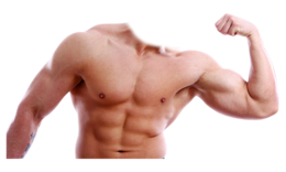 people & Muscle free transparent png image.