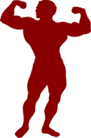 people & muscle free transparent png image.
