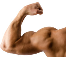 people & Muscle free transparent png image.