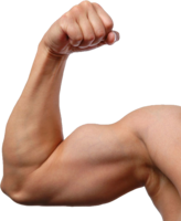 people & Muscle free transparent png image.
