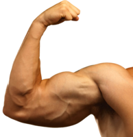 people & Muscle free transparent png image.