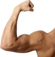 people & muscle free transparent png image.