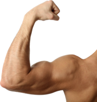 people & Muscle free transparent png image.