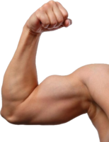 people & Muscle free transparent png image.