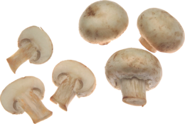 nature & mushroom free transparent png image.