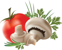 nature & mushroom free transparent png image.