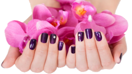 people & Nails free transparent png image.