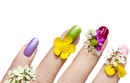 people & Nails free transparent png image.