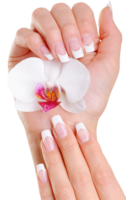 people & Nails free transparent png image.