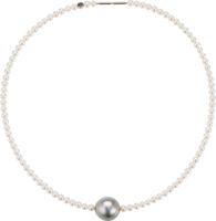 jewelry & Necklace free transparent png image.
