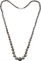 jewelry & Necklace free transparent png image.