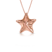 jewelry & necklace free transparent png image.