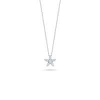 jewelry & necklace free transparent png image.