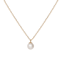 jewelry & Necklace free transparent png image.