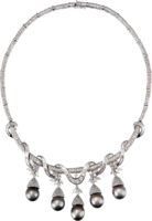 jewelry & necklace free transparent png image.