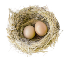 nature & nest free transparent png image.