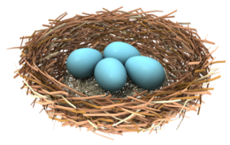 nature & nest free transparent png image.